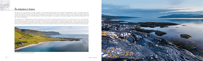 Mull new book introduction